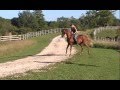 Julie Riding Arabian Stallion Bareback