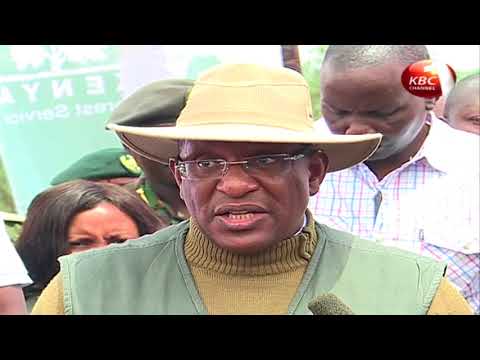 Environment Cabinet Secretary Keriako Tobiko launches national tree planting exercise