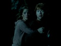 Ron Y Hermione/ Rupert Y Emma