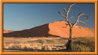 Clama Una Voz en el Desierto!!