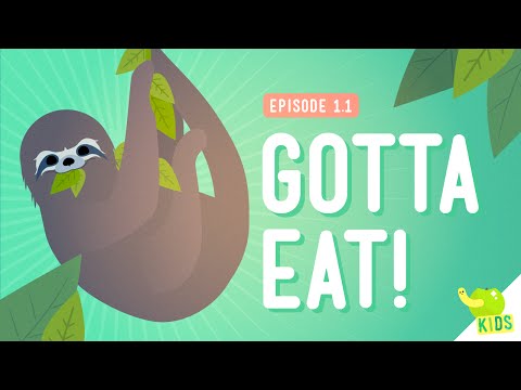 Gotta Eat! - Crash Course Kids 1.1