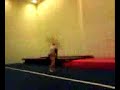 cat-doing-standing-backhandspring-double.html