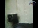 da7k fokaha hdioud da7k fokaha hdioud