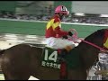 ２００１年７月８日、佐々木竹見最後の日。川崎競馬場にて。伝説の鉄人、ラストレースのパドック。