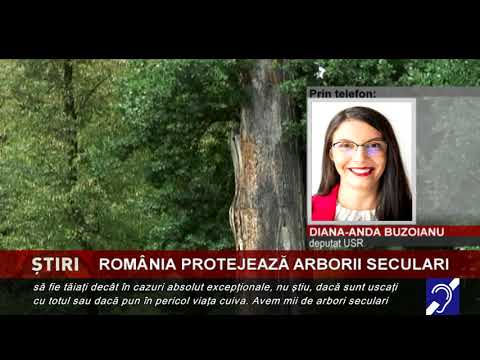 România protejează arborii seculari