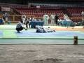 videos de Ratinho MOUSE PROF: UNDERSON CLAUDIO vs ...  3 etapa mineiro