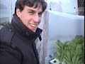 l'orto idroponico fai da te