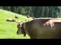 \"berta\" - heli burtscher \"berta\" - heli burtscher