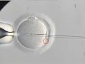 Virtual tour of our IVF Lab