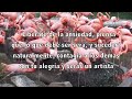 Pensamientos del maestro Facundo Cabral