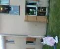 rOm�o & juliette horticole