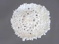 \"For $ale\" Toilet Paper Doily \"For $ale\" Toilet Paper Doily