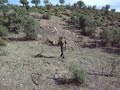 Ver vídeo