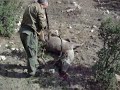 Ver vídeo