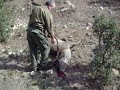 Ver vídeo