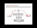 CS6810 -- Lecture 12. Computer Architecture Lectures on Pipelining