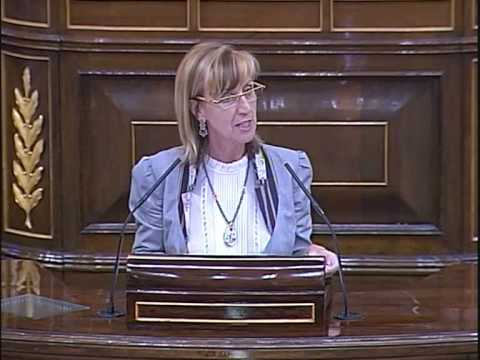 UPyD en el Congreso 14