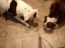 a better vacuum video a better vacuum video