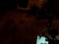 Bionicle shooting it up.wmv