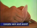 How can you avoid the veins in a rabbit\