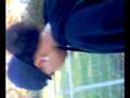 videos de stephh