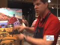 Sean Dye Demos with Holbein pastels