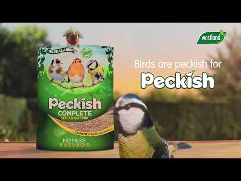 Cacahuètes Pour Oiseaux Sauvages Peckish 12,75 Kg - Nourriture Haute Qualité Testée Aflatoxines