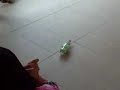 monash egg car race 2008 for physics   hariz dinee nik acap naza tim dewoo  