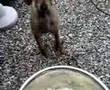 Selly eating