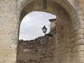 QUERCUS - Maniqui