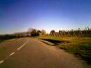 flycamone2 test flycamone2 test