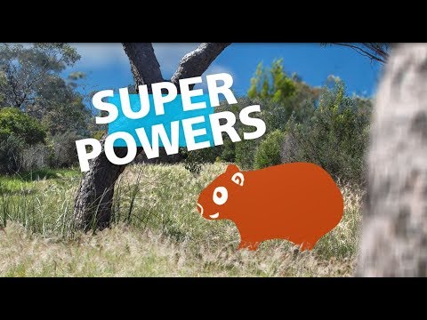 Junior Rangers – Born to Explore