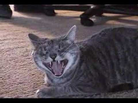 Zobacz film