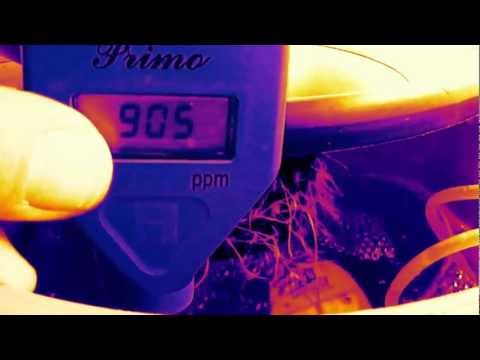 how to use sensi grow part a and b