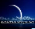 hastane önü incir a?ac? hastane önü incir a?ac?