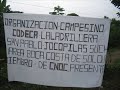 caso nueva linda