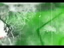 demoreel - 2007 - Fabricio A. Umezaki