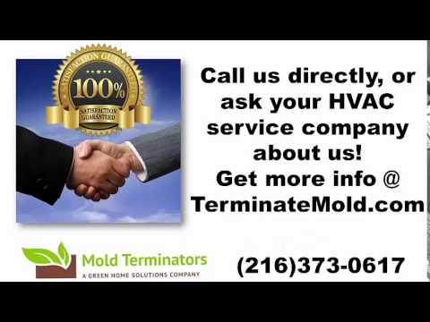 how to treat mold in hvac system