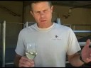Winemaker Tasting Notes: Clos LaChance 2007 White-Tufted Sunbeam Sauvignon Blanc
