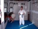 Traditional Japanese Martial Arts Morales Dojo