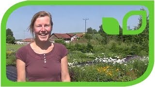 #1236 Allgäustauden - Ulrike Bosch über Staudenproduktion im Allgäu 