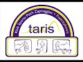 Taris Puszczykowo - FreeRunning trening Spidi Taris Puszczykowo - FreeRunning trening Spidi