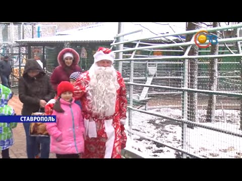 Дед Мороз в зоопарке 2016 Дед Мороз в зоопарке 2016