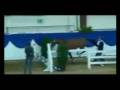 videos de Quidam - Showjumping horse for sale