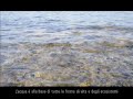 Rural4kids - Le 4 sfide dell'uomo: Acqua