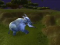 Tusker Kite