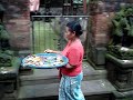 les offrandes monkey forest ubud