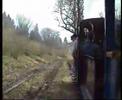Palmerston visits hollycombe
