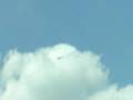 Greg Fly Over