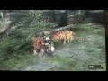 Lara Croft Tomb Raider (VIII): Underworld (Thailand Gameplay) Lara Croft Tomb Raider (VIII): Underworld (Thailand Gameplay)